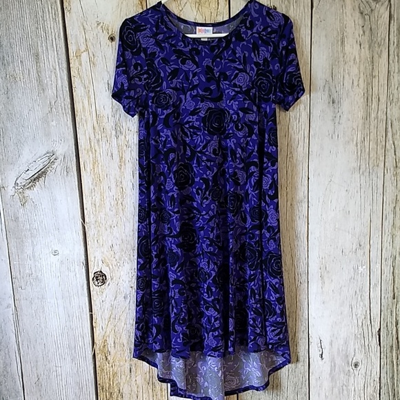 XXS Lularoe Carly (slinky) - Picture 1 of 1